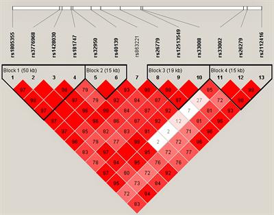 Comprehensive investigating of MMR gene in hepatocellular carcinoma with chronic hepatitis B virus infection in Han Chinese population
